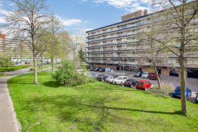 Dunantstraat 466