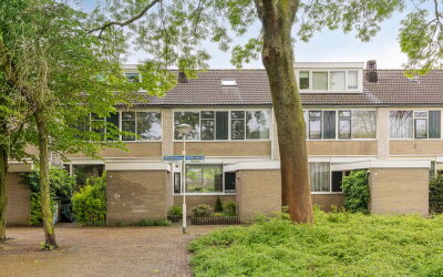 Wildenberg 24