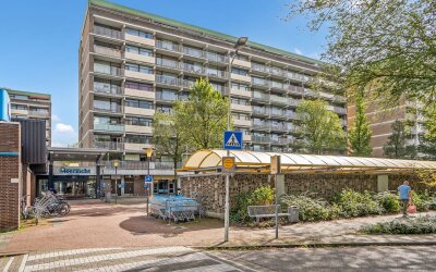 Bagijnenwaard 50