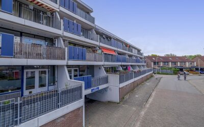 Peter Zuidhove 15