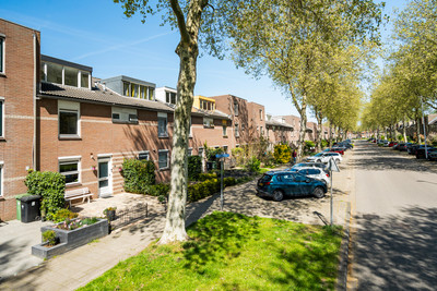 Geel-groenl. 67