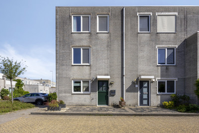 Meloengeel 2
