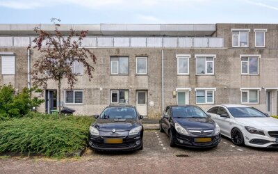 Napelsgeel 78
