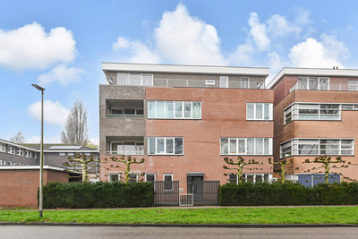 Algengroen 8-C