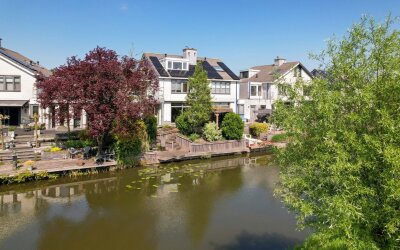 Goudenregen. 142