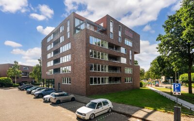 Merbauhout 13