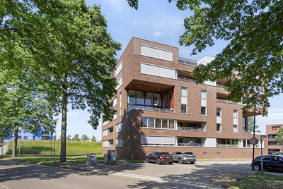 Mahoniehout 17