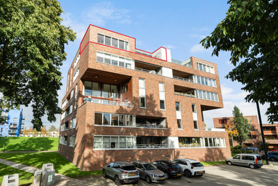 Mahoniehout 39