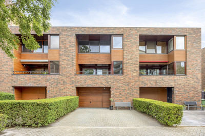 Mahoniehout 8