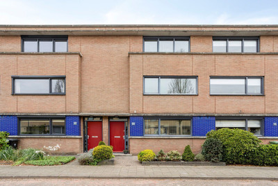 Raminhout 7