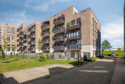 Burgemeeste. 8