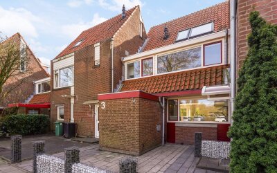 Radijsakker 3