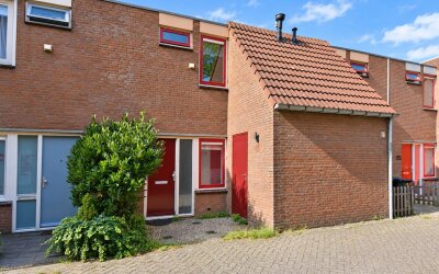Boekweitakker 19