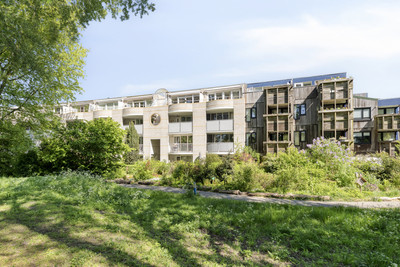 Vuurdoornpa. 16