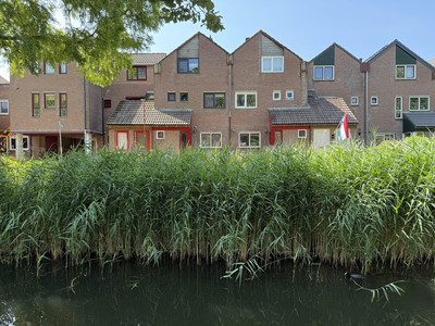 Violiervaart 49