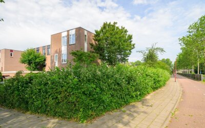 Hildebrandhove 132
