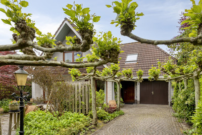 Behrenslijn 15