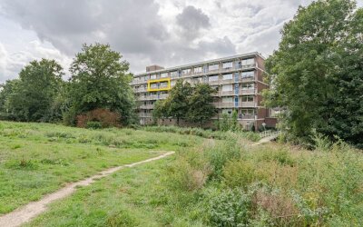 Werumeus Bu. 102