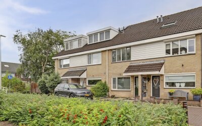 Papaverveld 41