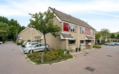 Papaverveld 20