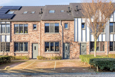 Meerval 12