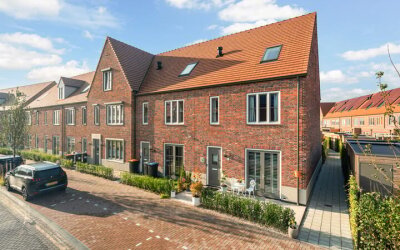 Mahoniehout 80