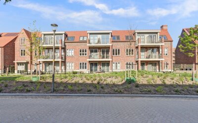 Notenhout 40
