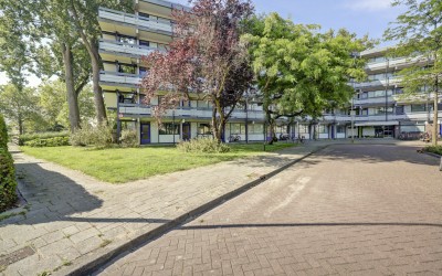 Wilde Wingerdlaan 43