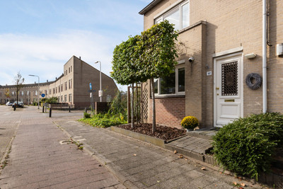 Middenmolen. 141
