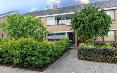 Rozetuin 11