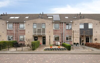 Pijlkruid 7