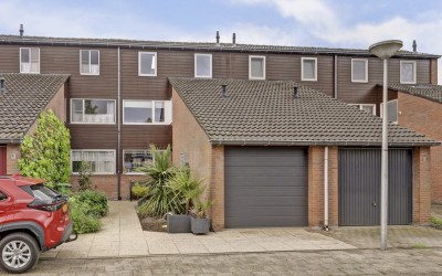 Pijlkruid 4