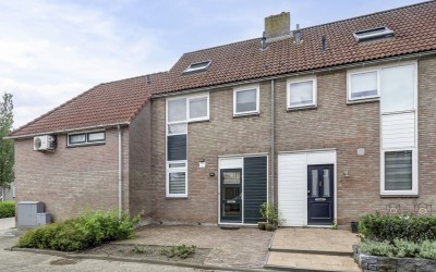 Pinksterbloem 1
