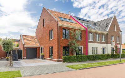 De Mus 5