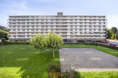 Alkenoord 25