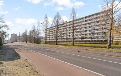 Alkenoord 55