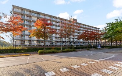 Alkenoord 276
