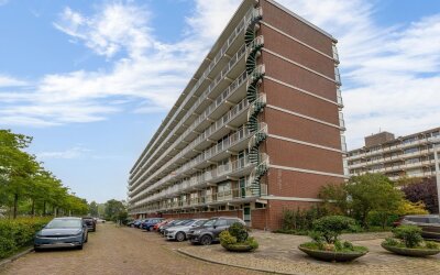 Alkenoord 317