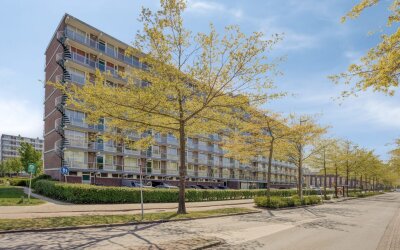 Alkenoord 322