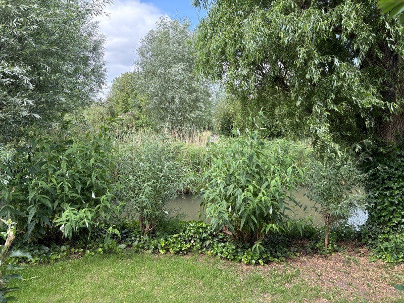 Twee-onder-één-kap te koop: Paradijsselpark 65, Capelle Aan Den Ijssel