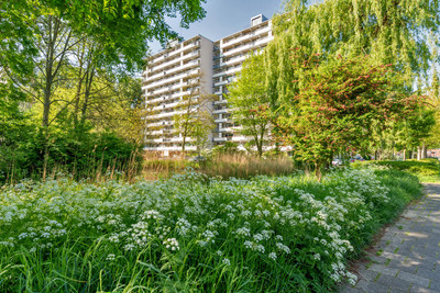 Akkerwinde 195