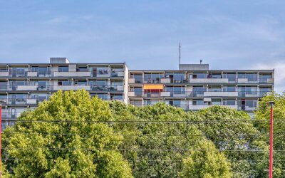Akkerwinde 216