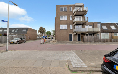 Ringspoor 42
