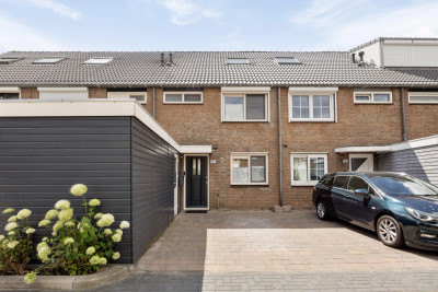 Ringspoor 193