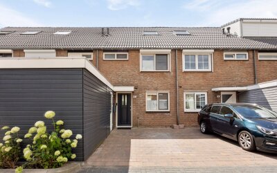Ringspoor 193