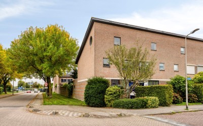 Vecht 1