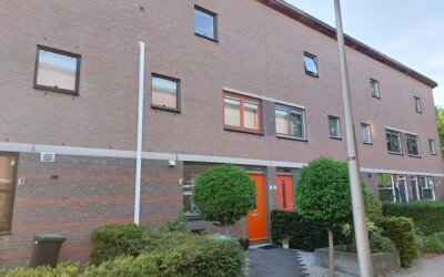 Vecht 13