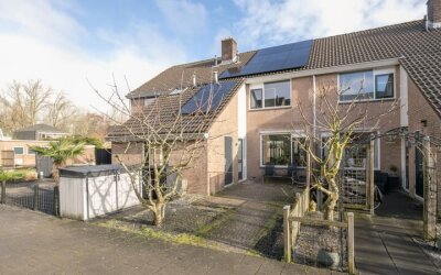 Schijfmos 12
