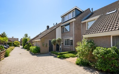 Schijfmos 21