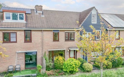 Anjerveld 51